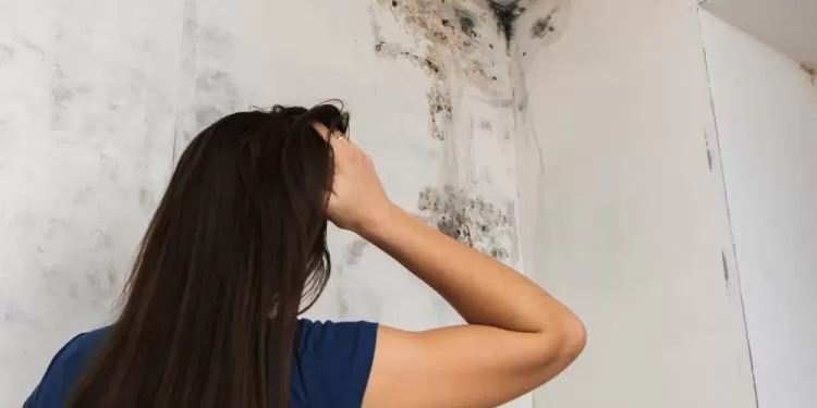 Eyvah Çatım Aktı!